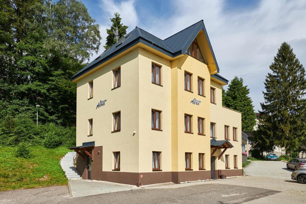 Pension Adrie Янське Лазне Экстерьер фото